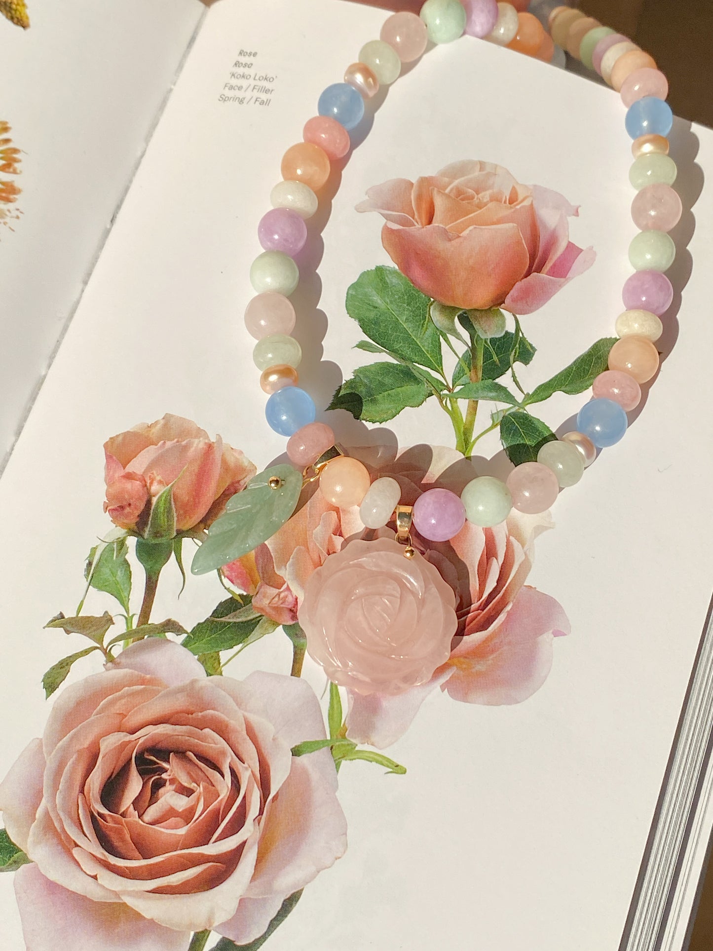 Petal