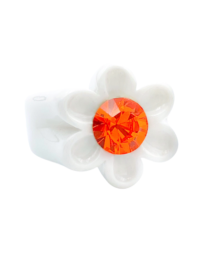 Orange Daisy